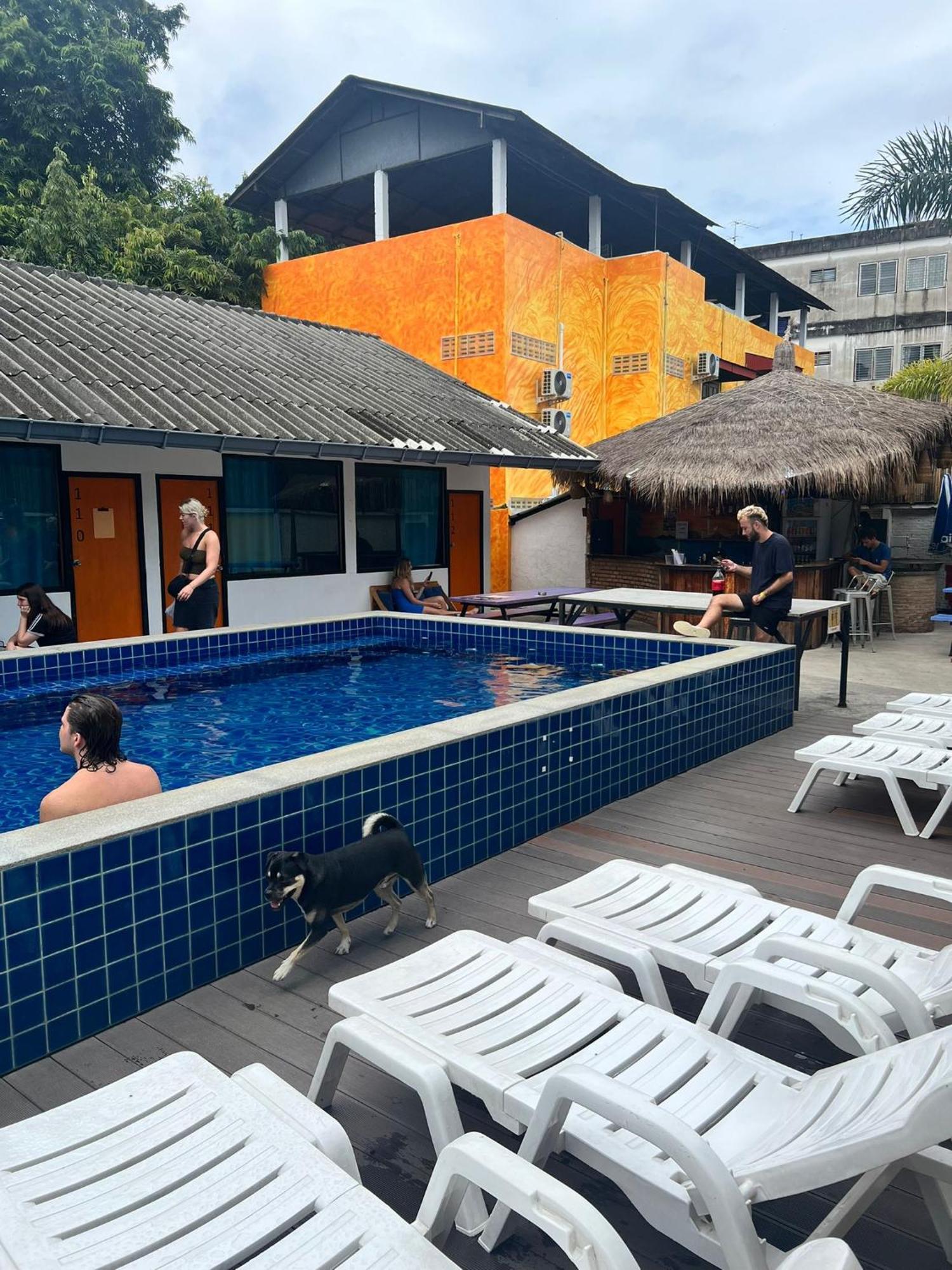 Revolution Chiang Mai - Old Town Hostel Bagian luar foto